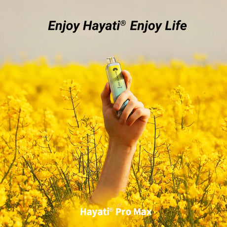 Introduction to Hayati Pro Max 4000 Disposable Vape Guide