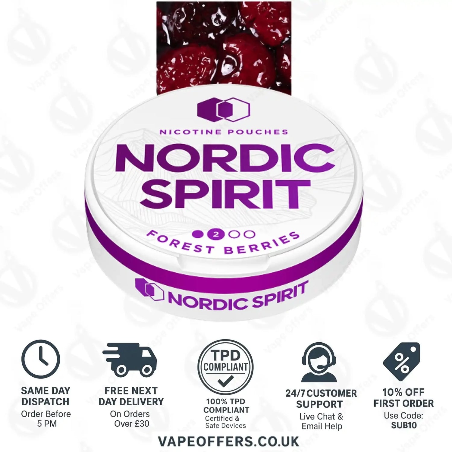 Nordic Spirit Nicotine Pouches Forest Berries Regular