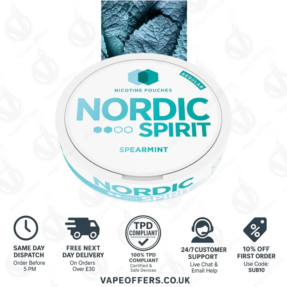 Nordic Spirit Nicotine Pouches Spearmint Regular