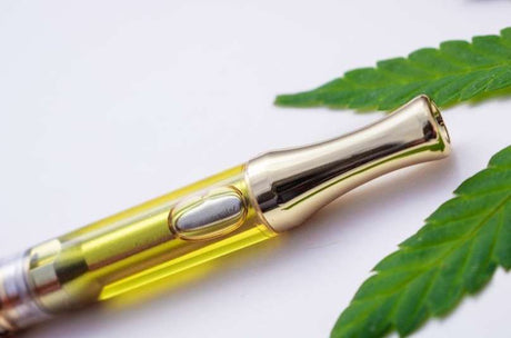Do Vapes Contain Calories? The Facts on Vaping and Weight Gain
