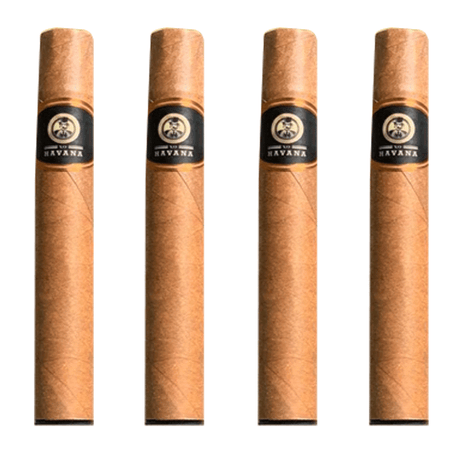 XO Havana  Cigar
