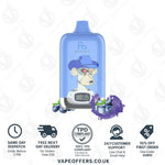 Load image into Gallery viewer, Blueberry on Ice Fumot Digital Box 12000 Puffs Vape
