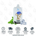 Load image into Gallery viewer, Cool Mint Fumot Digital Box 12000 Puffs Vape
