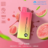 Hayati Duo Mesh 7000 Puffs Vape Box Deal