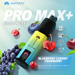 Load image into Gallery viewer, Hayati Pro Max Plus 6000 - Blueberry Cherry Cranberry 
