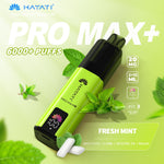 Load image into Gallery viewer, Hayati Pro Max Plus 6000 - Fresh Mint 
