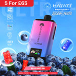 Load image into Gallery viewer, Hayati Pro Ultra+ 25000 - Blue Razz GB

