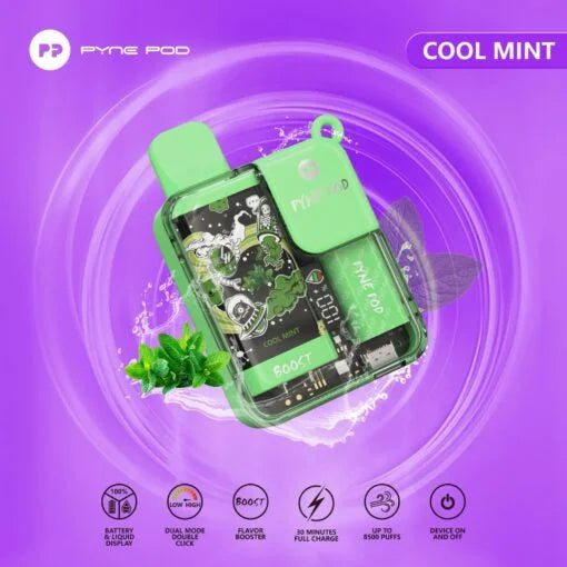 Pyne Pod 8500 (Disposable Vape) Cool Mint 