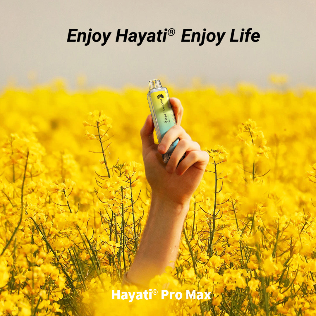 Hayati Pro Max 4000 Disposable Vape