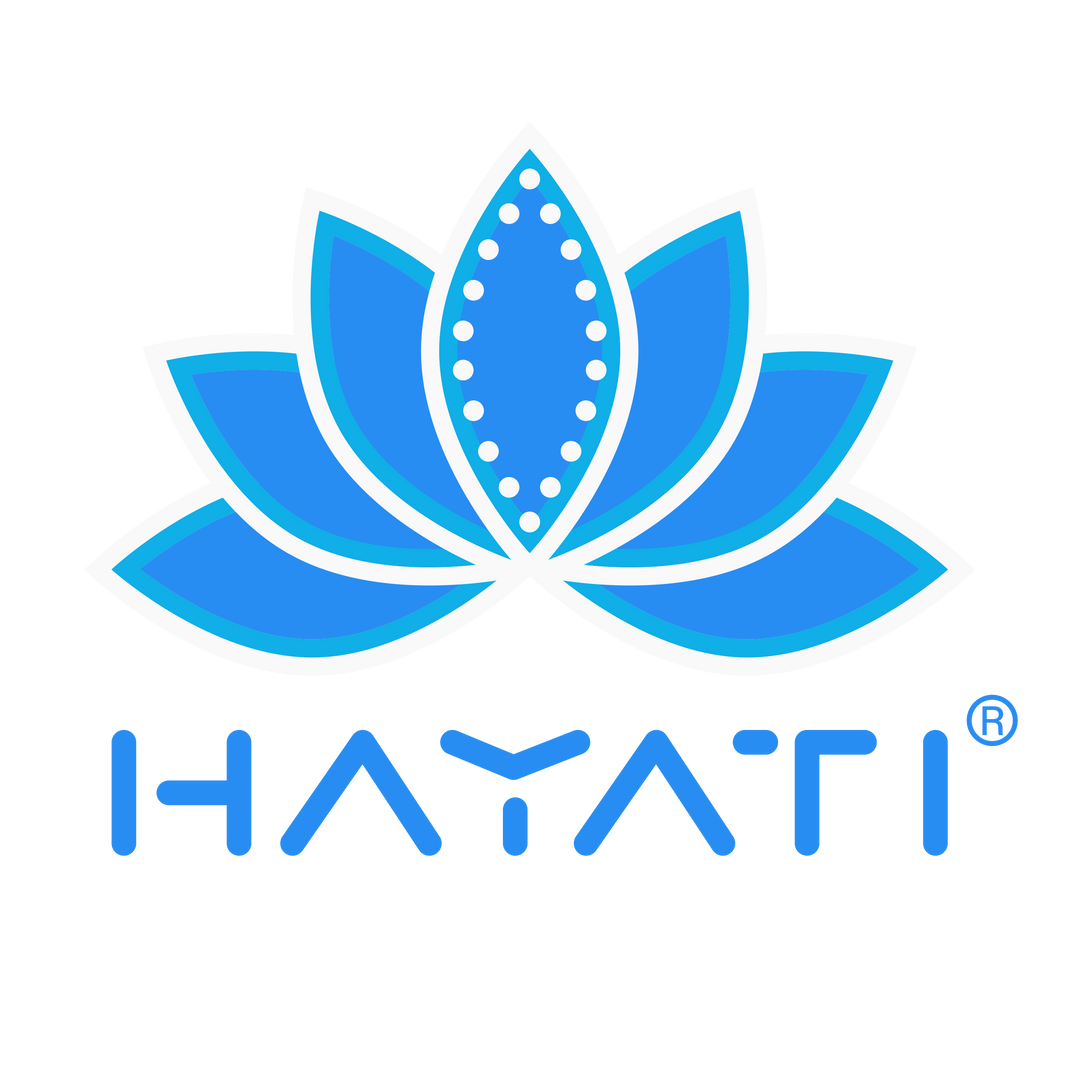 Hayati Pro Max 4000 Disposable Vape